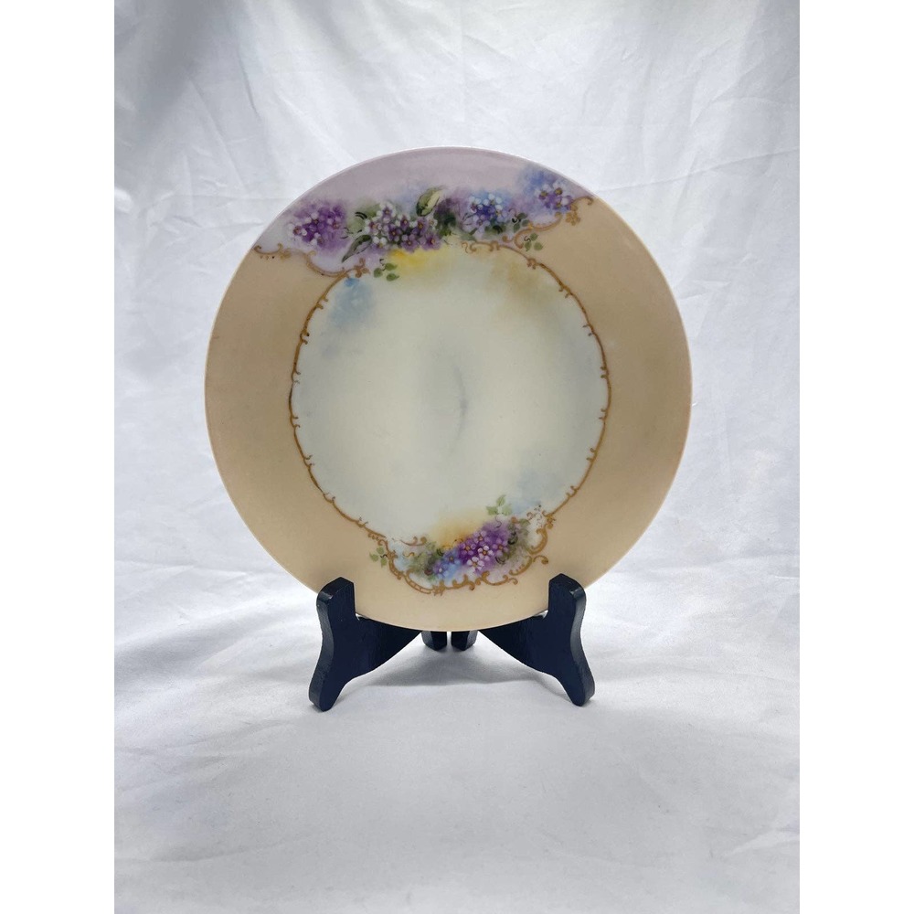 Antique hand painted bone China plate
